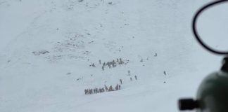 Tragedia en los Alpes italianos: avalancha provoca muerte de 5 personas, hay otros cinco lesionados Tragedia en los Alpes italianos: avalancha provoca muerte de 5 personas, hay otros cinco lesionados
