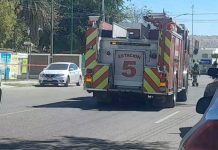 Ataque de abejas en lavado de autos deja tres personas lesionadas en Hermosillo Ataque de abejas en lavado de autos deja tres personas lesionadas en Hermosillo