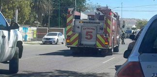 Ataque de abejas en lavado de autos deja tres personas lesionadas en Hermosillo Ataque de abejas en lavado de autos deja tres personas lesionadas en Hermosillo