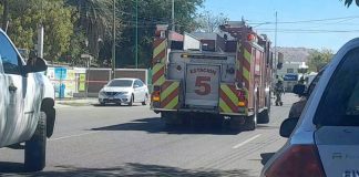 Bomberos de Hermosillo atienden 118 reportes por enjambres en 2026; aumentan 54% respecto a 2025