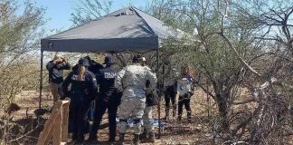 Analiza Fiscalía de Sonora restos óseos encontrados en ejido al oriente de Guaymas
