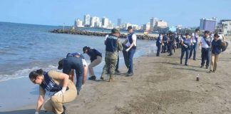Retiran más de 740 toneladas de hidrocarburo del Golfo de México tras operativo federal Retiran más de 740 toneladas de hidrocarburo en costas y mar del Golfo de México tras operativo federal