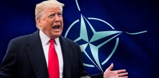 Trump llama “cobardes” a países de la OTAN por negarse a intervenir en el Estrecho de Ormuz en plena guerra con Irán Trump llama “cobardes” a países de la OTAN por negarse a intervenir en el Estrecho de Ormuz en plena guerra con Irán