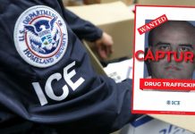 Detiene ICE a presunto operador del Cártel del Golfo en Guanajuato, tras operativo en conjunto con autoridades mexicanas