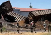 Descarrila tren en Aguascalientes; reportan al menos un migrante muerto y varios heridos