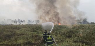 Incendio arrasa casi 8 hectáreas de vegetación en Xochimilco