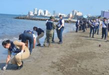 Despliegan más de 2 mil 400 elementos para atender contaminación por hidrocarburos en Veracruz y Tabasco