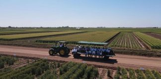 Impulsa Sonora cultivos de bajo consumo de agua y mayor rendimiento en el Día del Agricultor