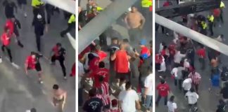 Batalla campal entre aficionados de Chivas y Atlas en Los Ángeles (VIDEO)
