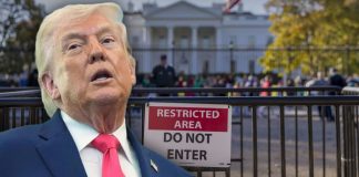 “No es su propietario”: juez federal detiene plan de Trump de salón de baile en Casa Blanca