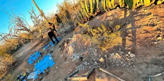 Hallan restos humanos de hasta 10 años de antigüedad en Plutarco Elías Calles, Sonora, Fiscalía investiga