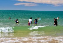 Reportan quemaduras de aguamala en playa de Bahía de Kino en Semana Santa Reportan quemaduras de aguamala en playa de Bahía de Kino en Semana Santa