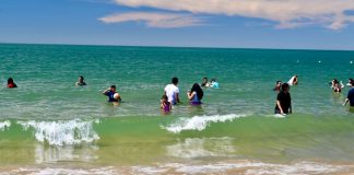 Reportan quemaduras de aguamala en playa de Bahía de Kino en Semana Santa