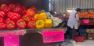 Aumentan hasta 50% tomate, chile, papa y cebolla en Ciudad Obregón, Sonora: resienten familias impacto al bolsillo