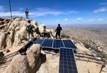 Desmantelan puntos de ‘halconeo’ durante operativo conjunto en Sonoyta, Sonora Desmantelan puntos de ‘halconeo’ durante operativo conjunto en Sonoyta, Sonora