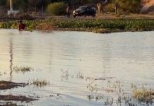 Desaparece menor tras meterse al río Mayo en Navojoa: activan intensa búsqueda