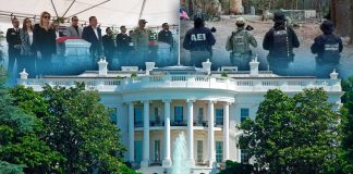 Casa Blanca pide a Sheinbaum “empatía” tras muerte de dos agentes de EEUU en operativo contra narcolaboratorios en Chihuahua