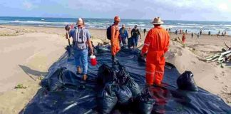 Derrame en el Golfo de México: recolectan 894 toneladas de hidrocarburo y limpian 32 playas