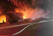 Incendio consume diez vehículos y se propaga a recicladora al norte de Hermosillo