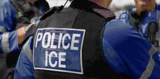 ICE dispara a hombre en California tras presunto intento de atropellamiento; FBI investiga ICE dispara a hombre en California tras presunto intento de atropellamiento; FBI investiga