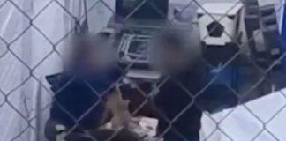 Detienen a veterinaria acusada de maltrato animal tras video viral en Nogales