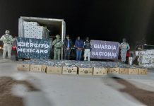 Detienen a dos hombres tras decomiso de casi dos toneladas de cocaína en Sonora durante revisión a tractocamión