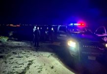 Hallan restos óseos en zona desértica durante búsqueda en Sonoyta