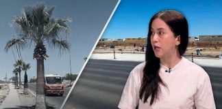 No debió autorizarse retirar palmeras en banqueta de bulevar Morelos en Hermosillo; priorizar auto rompe ley, afirma arquitecta