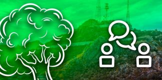 Plantar árboles nativos y cuidar áreas verdes proponen niñas y niños de Hermosillo para tener una mejor ciudad