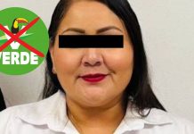 Partido Verde en Sonora se deslinda de regidora Angélica Valdés tras su detención y niega vínculo político
