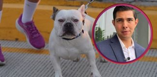 Crean en Tecate “impuesto” por posesión de perros potencialmente peligrosos; ciudadanos están inconformes