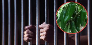 Arrestan a hombre por robar 2 costales de chiles en Costa de Hermosillo