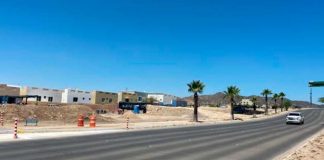 Fueron trasplantadas y reubicadas palmeras de bulevar Morelos al norte de Hermosillo, se supervisa obra, afirma Ayuntamiento