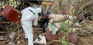 Descubren seis narcolaboratorios de metanfetamina en Chihuahua