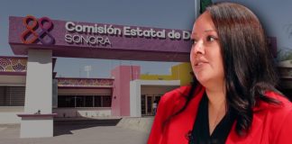 CEDH está alejada de la gente, propongo acercarla con coordinación institucional: Jeanette Arrizon