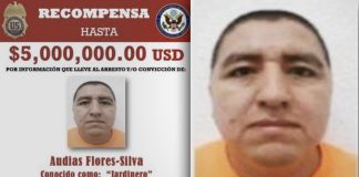 Golpe al CJNG: capturan en Nayarit a ‘El Jardinero’, operador buscado por México y EEUU, informa Harfuch
