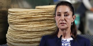 “No hay ninguna razón”: Sheinbaum descarta aumento en el precio de la tortilla por bajo costo del maíz en México “No hay ninguna razón”: Sheinbaum descarta aumento en el precio de la tortilla por bajo costo del maíz en México