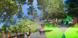 El secreto de Unison para ser pulmón verde de Hermosillo: combate el calor, contaminación y mejora el aire de la ciudad