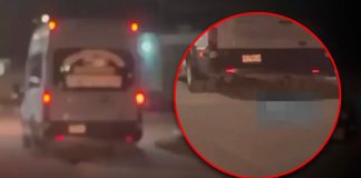 Se deslinda Transportes Cancino de chofer de vehículo que arrastró a perro en Hermosillo