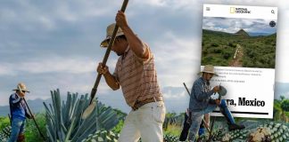 Sonora conquista a National Geographic: entra al top mundial gastronómico y presume su tesoro más exclusivo, el bacanora