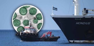 Activa España operativo sanitario tras llegada del crucero MV Hondius