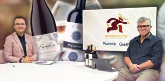 ¿Cómo identificar el verdadero sabor del vino?: Wineosfera