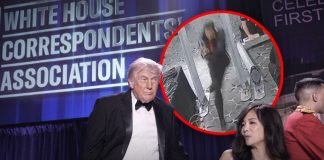 Cole Allen se declara no culpable de intentar asesinar a Donald Trump durante cena en Washington