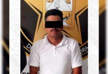 Imputan a hombre acusado de brutal agresión contra perro 'Toto' en Navojoa