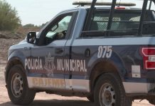 Guardia Nacional detiene a policía activo de Cajeme con equipo táctico, municiones y presunta droga