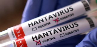 OMS confirma 7 casos de hantavirus vinculados a brote en crucero HM Hondius; hay 3 fallecidos