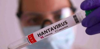 Secretaría de Salud Federal emite aviso epidemiológico por brote de hantavirus detectado en crucero del Atlántico