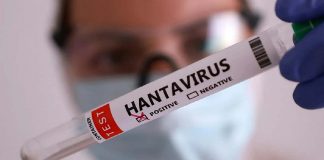 EEUU mantiene bajo vigilancia a 41 personas tras exposición al hantavirus en brote del crucero MV Hondius