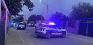 Detienen a hombre por golpear a un perro con el mango de un cuchillo en Hermosillo