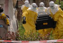 Reportan 204 muertes por ébola en el Congo y 867 casos sospechosos en el este del país